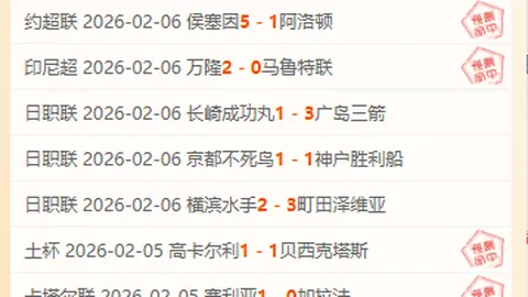 范晓冬建议中国球员首选英冠，德甲为佳，意甲不宜考虑